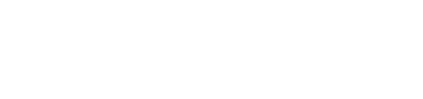 datalanguage